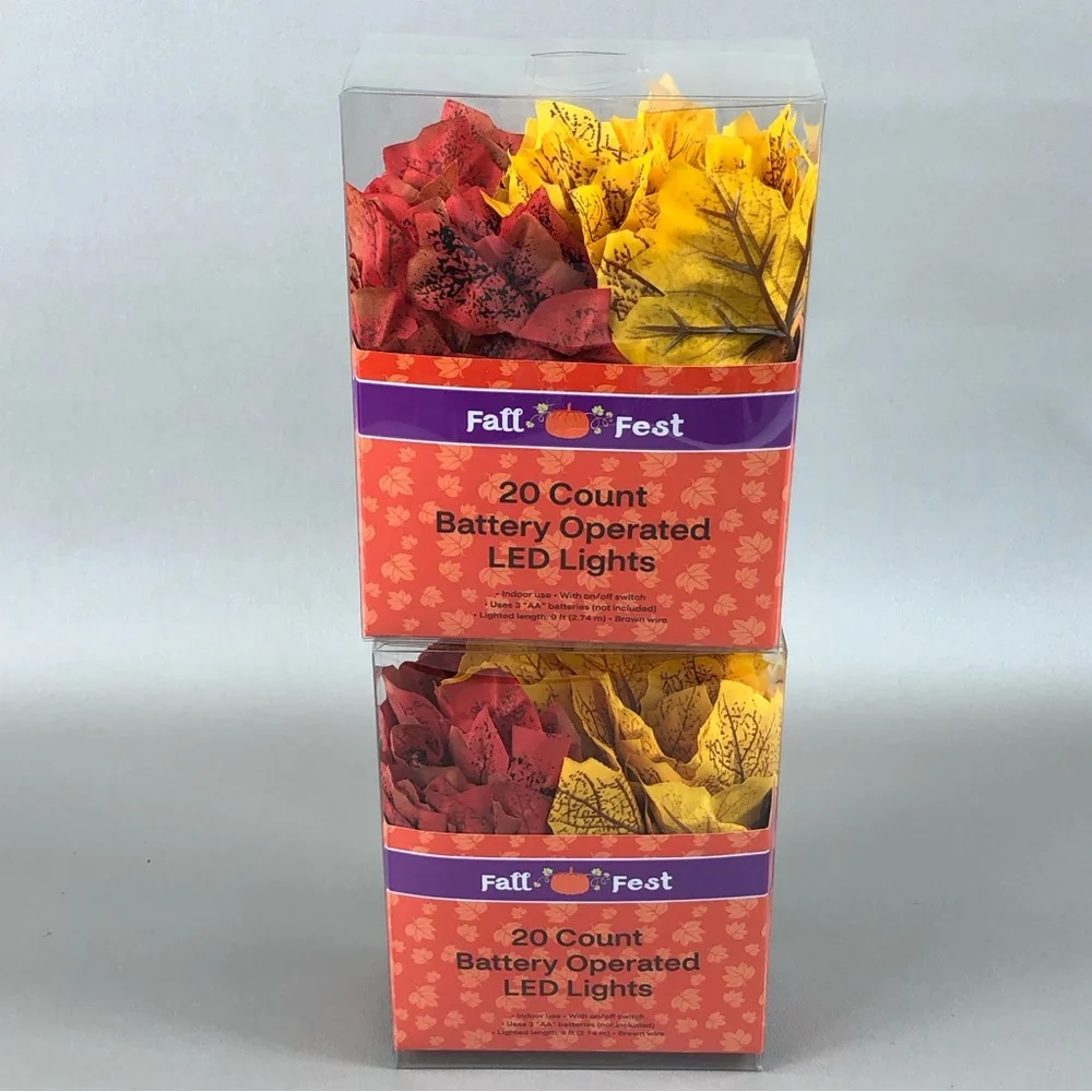 Fall Fest 20 Count Battery Operated LED Lights 2pck